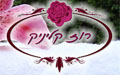 רוז קליניק - ספא זוגי